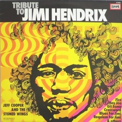 Jeff Cooper and the stoned Wings - Tribute to Jimi Hendrix E454