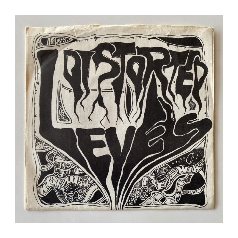 Distorted Levels - Hey Mister Nowhere 1