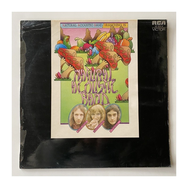 Natural Acoustic Band - Branching In SF 8314