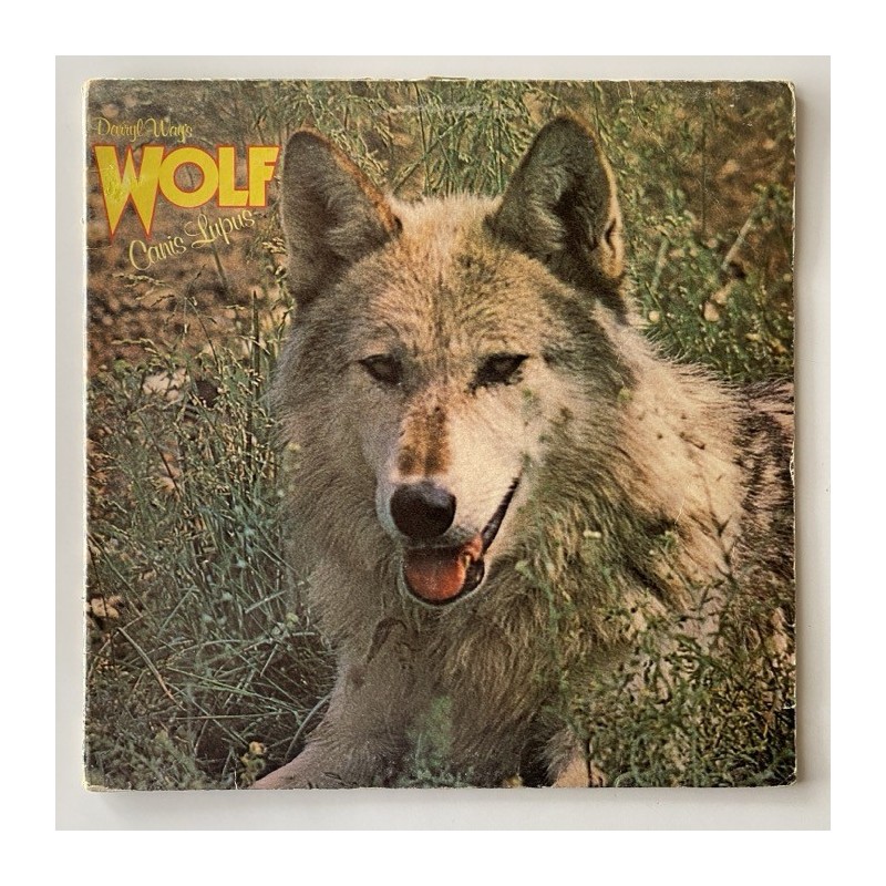 Darryl Way’s Wolf - Canis Lupus SDL 14