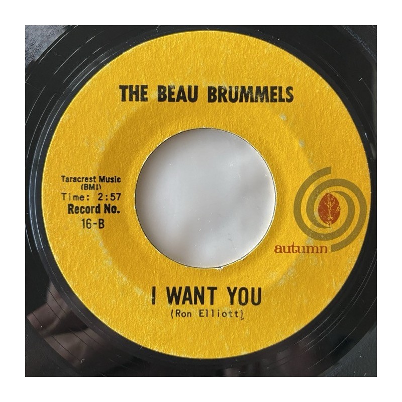 The Beau Brummels - You tell me why 16