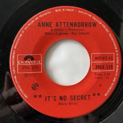Anne Attenborrow - It’s no Secret 2065 119