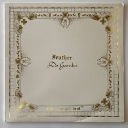 Feather da Gamba - Like It or get bent VOID24
