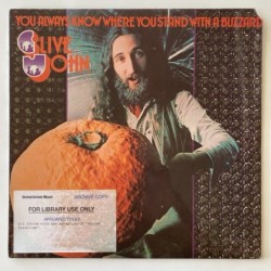 Clive John - You always know where you stand with a buzzard UAS 29733