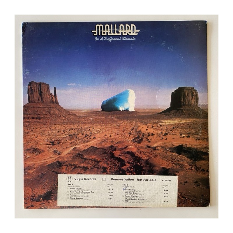 Mallard - In a different climate PZ 34489