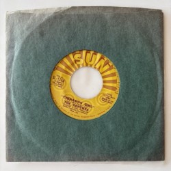 The Gentrys - Cinnamon Girl SI - 1114