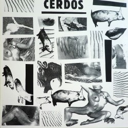 Cerdos - Cerdos TQ001LP