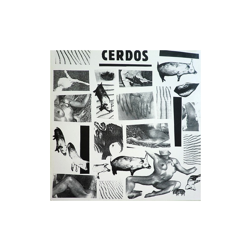 Cerdos - Cerdos TQ001LP