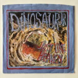 Dinosaur Jr. - Just like heaven SST 244