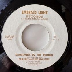 Sunlight and Thee New Seeds - Diamonds in the Rough 8