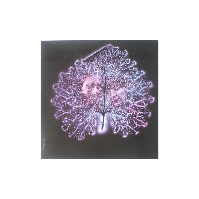 Les Poinchevaux - Gestes et Visages Vol. 2 PL 339