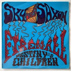 Sky Sunlight Saxon / Fire Wall - Destiny’s Children PVC 6912