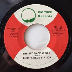 Brownsville Station - The Red Back Spider BT 156