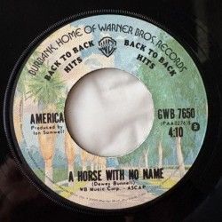 America - A Horse with no name GWB 7650