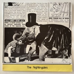 The Nightingales - Which Hi-Fi? 12Cherry44