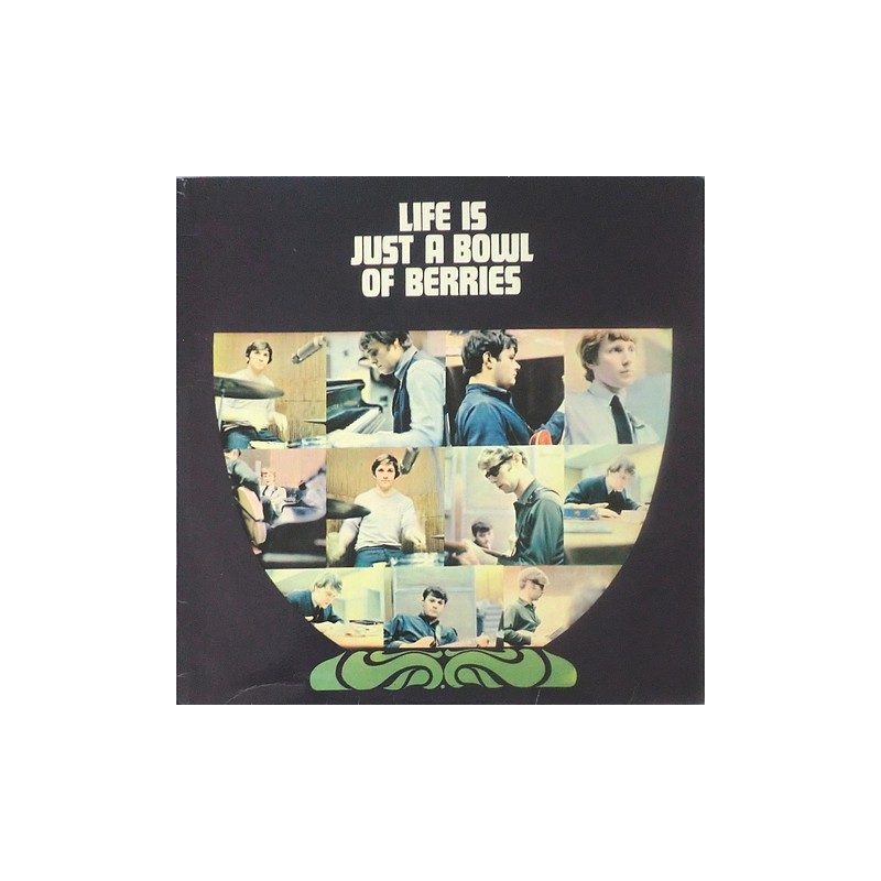 Rockin' Berries - Life is just... NPL.38022