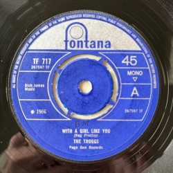The Troggs - With a Girl like You TF 717