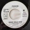 Dwight Twilley Band - I’m on fire SR-40380