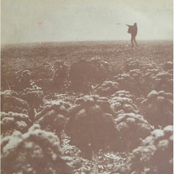 Bewth - Over de dauw van dit land SP 3