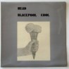 Head - Blackpool Cool HSLP 333333333C