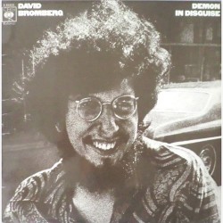 David Bromberg - Demon in disguise S 65222