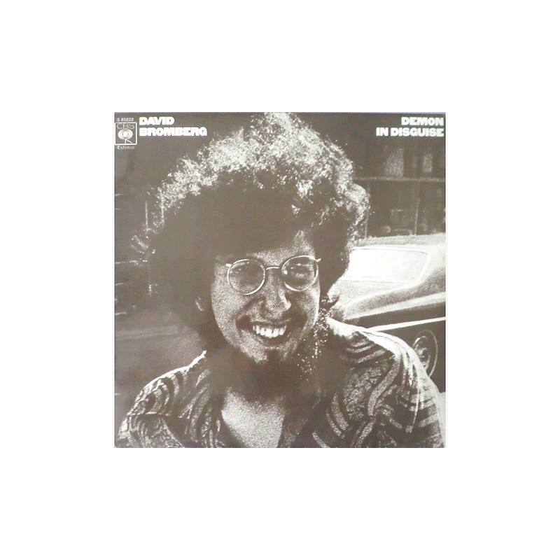 David Bromberg - Demon in disguise S 65222