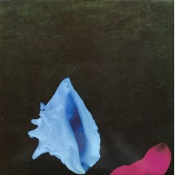 New order - Touched By The Hand Of God Fac193