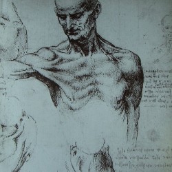 Goran Besov - Major Malfunction MHz03