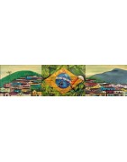 Brasil, Tropicalia, Samba, Bossa, MPB